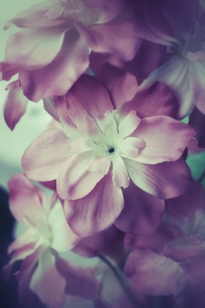 Beautiful of artificial flowersの写真素材