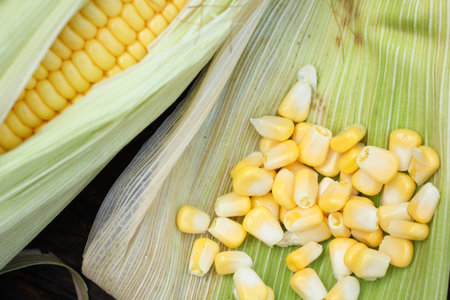Close up of fresh corn and seedsの写真素材