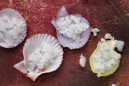 White sea salt on shellの写真素材