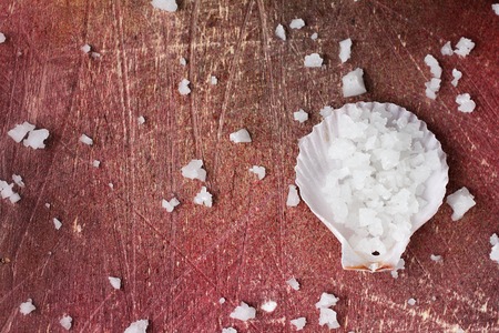 White sea salt on shellの写真素材