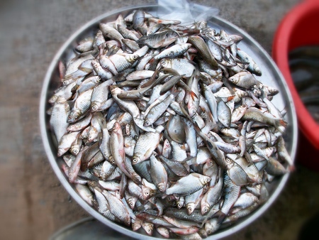Fresh fish at asia marketの写真素材