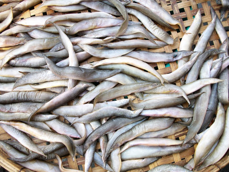A lot of dry fish - asia food