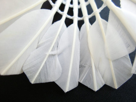 Shuttlecock for badminton on black background