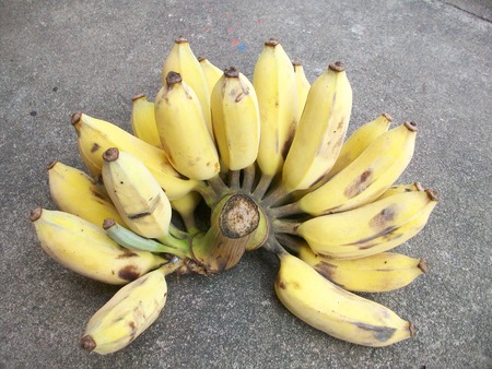 Close up of ripe bananaの写真素材