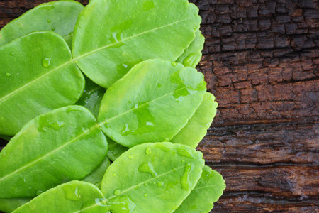 Kaffir lime leaves on wood background