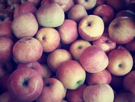 Fresh red apple - vintage styleの写真素材