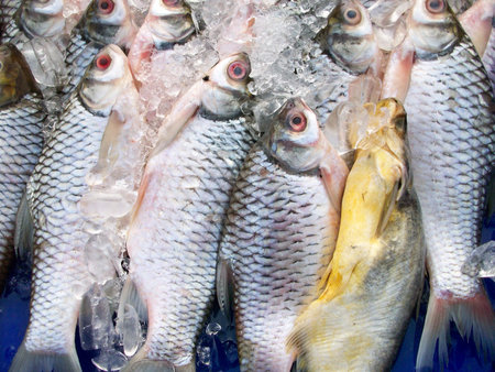 Fresh fish at asia market