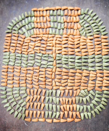 Pattern by Dry food for dog and catの写真素材