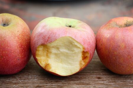 Fresh red appleの写真素材