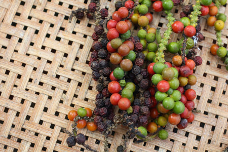 Fresh green peper on wood. -peppercornの写真素材