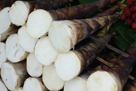 Yellow bamboo shoot food asiaの写真素材