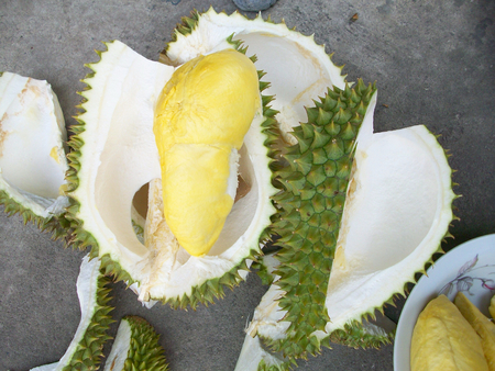 Ripe durian.の写真素材