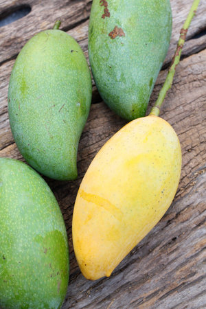 Yellow and green mango