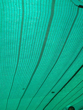 Green backgroundの写真素材