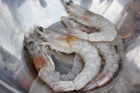 Fresh shrimpの写真素材