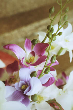 Beautiful orchid of artificial flowersの写真素材