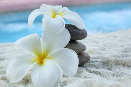 Spa of frangipani flower on stonesの写真素材