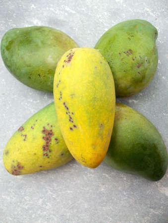 yellow mangoの写真素材