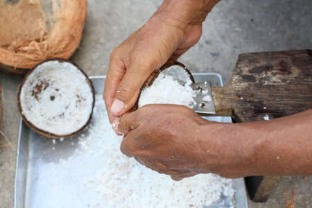 Coconutの写真素材