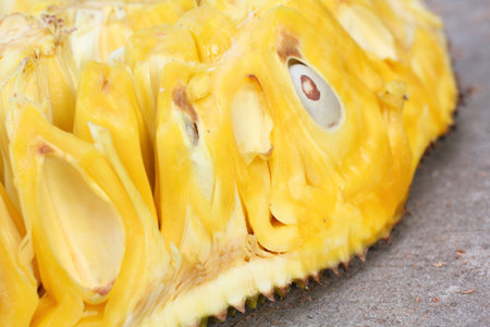 Close up of jack fruitの写真素材