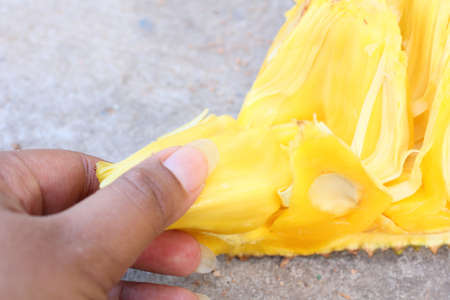 Close up of jack fruitの写真素材