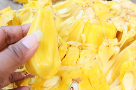 Close up of jack fruitの写真素材