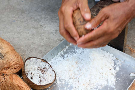 Coconutの写真素材