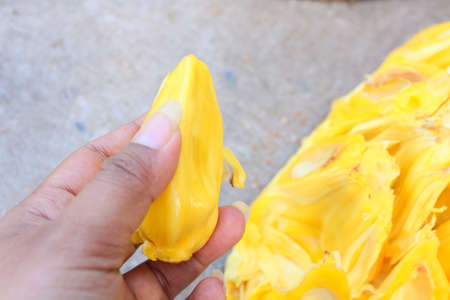 Close up of jack fruitの写真素材