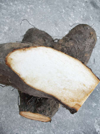 Sweet potato の写真素材