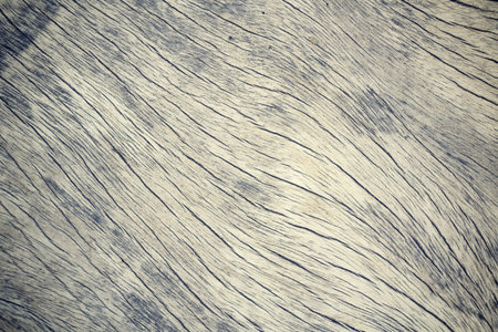 old wood background textureの写真素材