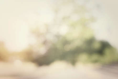 abstract forest blurred background - natural bokehの写真素材