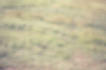 abstract forest blurred background - natural bokehの写真素材