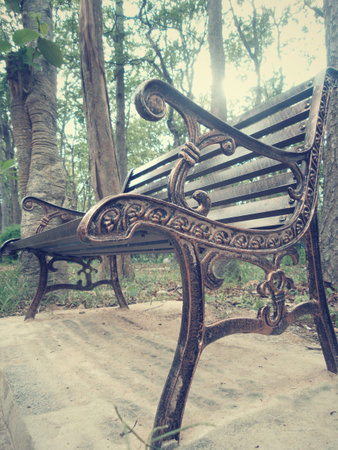 Bench chair in the park