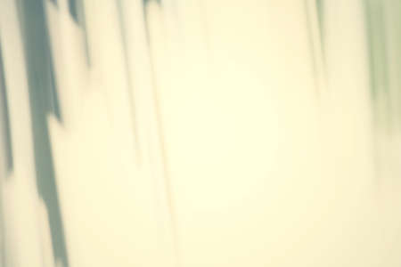 abstract blur background 
の写真素材