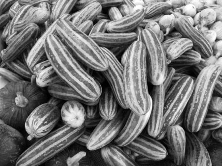 Winter melonの写真素材