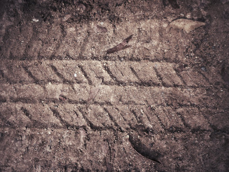 Wheel tracks on the soil.