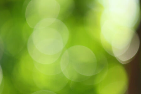 Green bokeh lights - blurred の写真素材