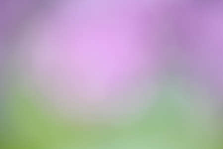 blurred purple and green backgroundの写真素材