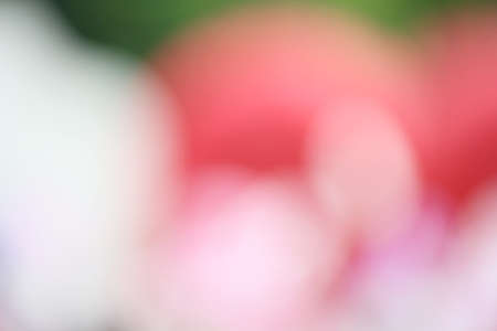 blurred colorful backgroundの写真素材