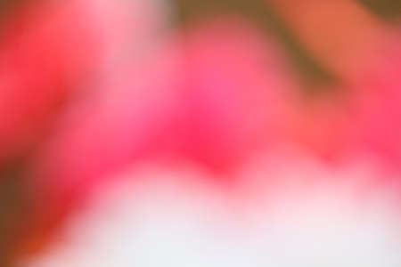 blurred colorful backgroundの写真素材