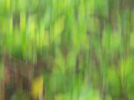 blurred green backgroundの写真素材