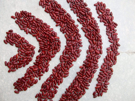 Dried red beans isolated