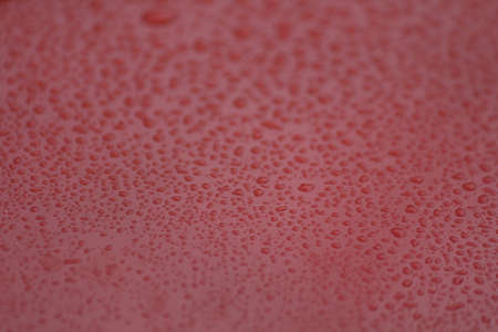 Water dropの写真素材