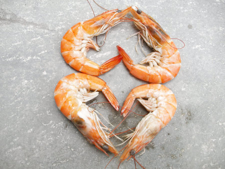  shrimp の写真素材