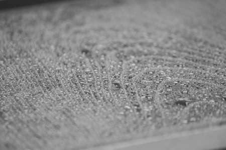 Water dropの写真素材