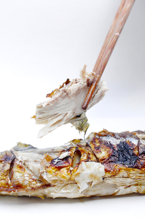 grilled fishの写真素材