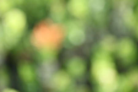 Lights  backgroundの写真素材