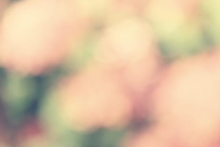 blurred vintage background