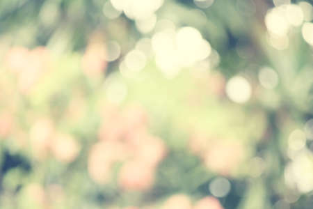 Lights flower backgroundの写真素材