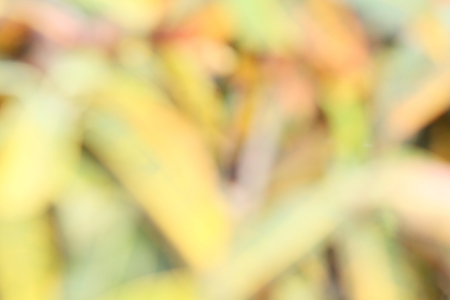 blurred colorful backgroundの写真素材